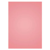 Aperturee - Peach Pink Baby Girl Shoot Studio Solid Backdrop